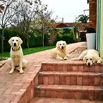 Casa Ana Vama Veche
